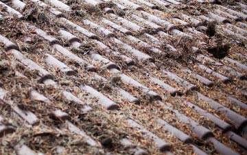 Wilday Green roof cleaning companies