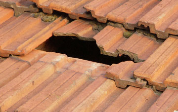 roof repair Wilday Green, Derbyshire